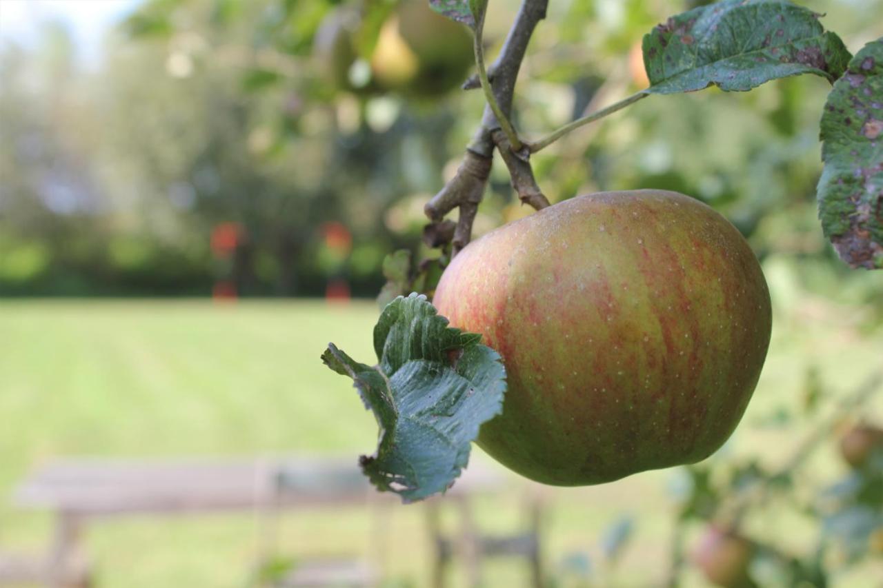 B&B 'T Zwaluwnest Heuvelland Bagian luar foto