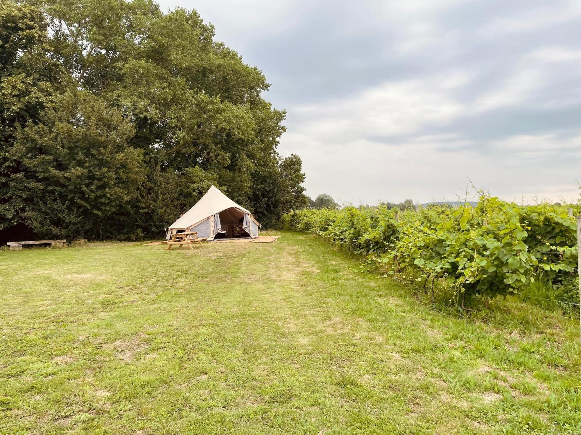 B&B 'T Zwaluwnest Heuvelland Ruang foto